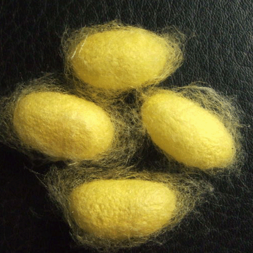 A541B9C04C441BD31F4F21AE6FA_8CA5A81D_2EA1A