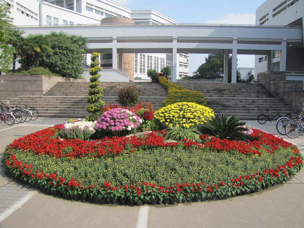 GA黄金甲·(中国集团)官方网站