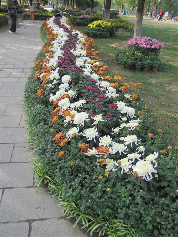 GA黄金甲·(中国集团)官方网站