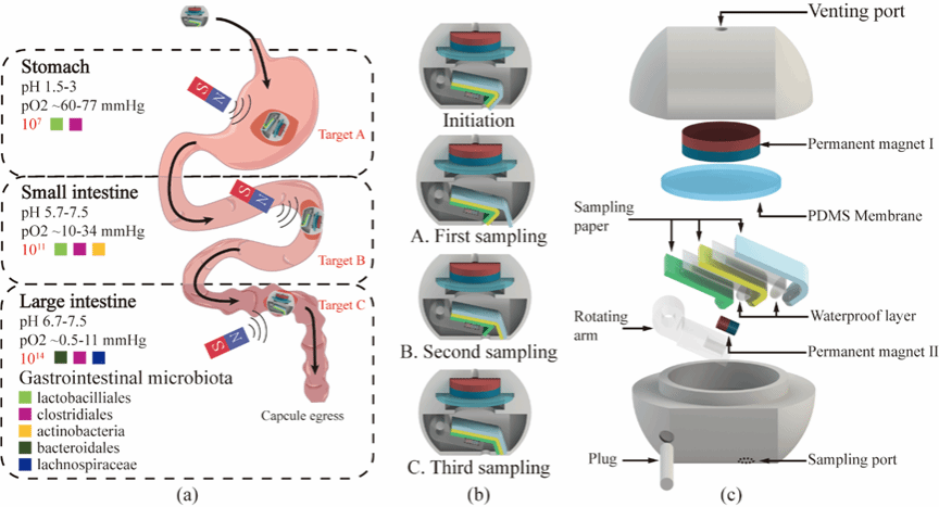 GA黄金甲·(中国集团)官方网站