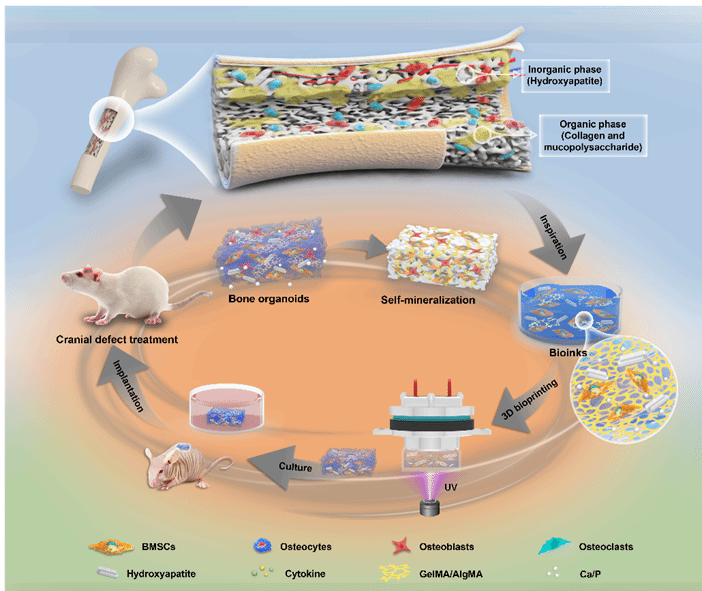 GA黄金甲·(中国集团)官方网站