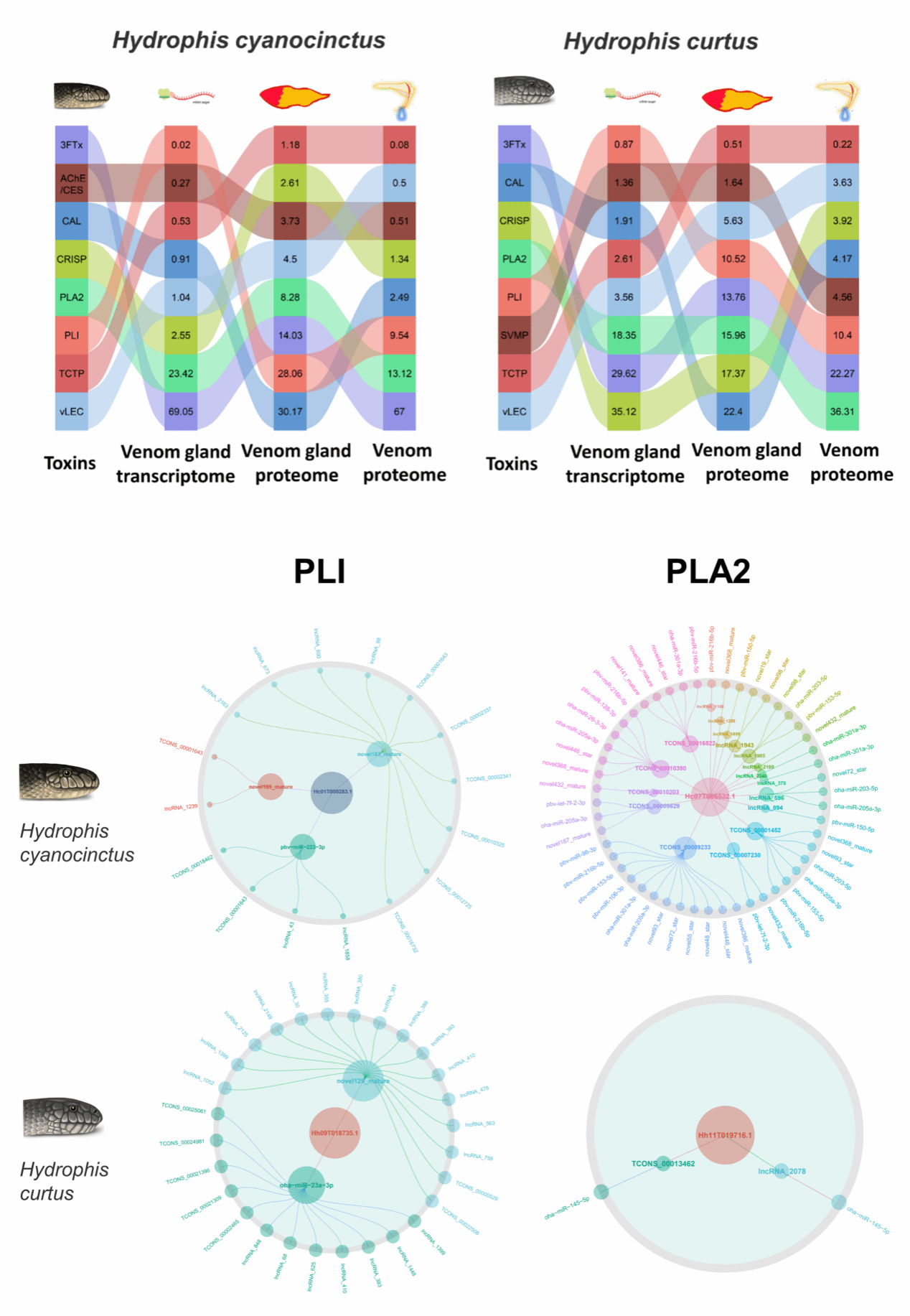 2C1982C41AD9D5D65BFC23CB60B_6DF27C46_30922