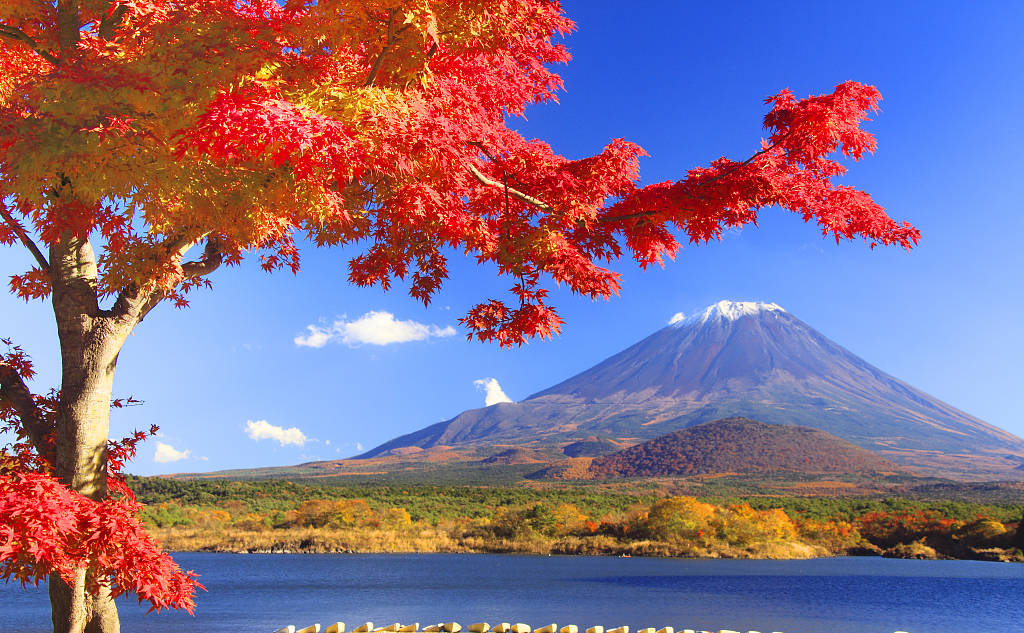 GA黄金甲·(中国集团)官方网站