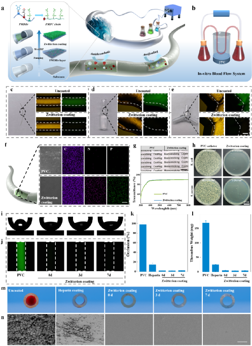 59F5B4A06EE72A7BC6B77129683_2730AA47_5040B