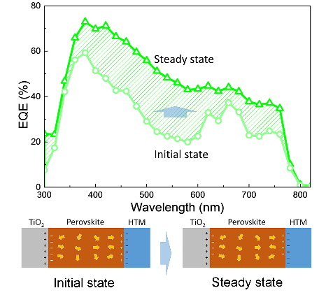 GA黄金甲·(中国集团)官方网站