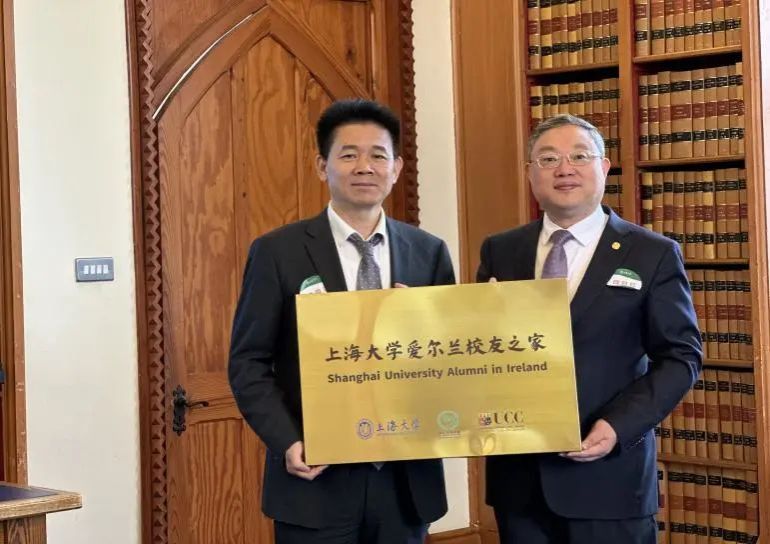 2EE8053B1CD3205D6FDEE796E5C_902F08CD_10B40