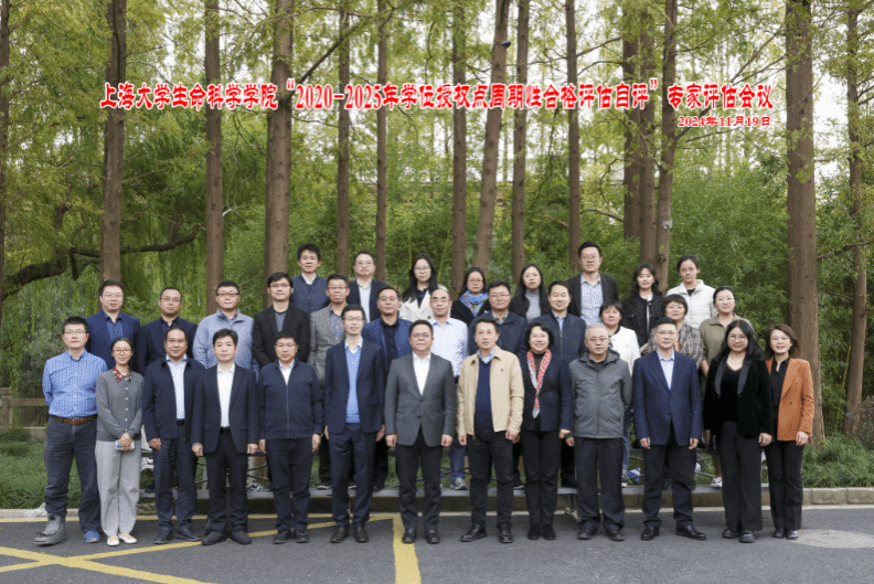 GA黄金甲·(中国集团)官方网站