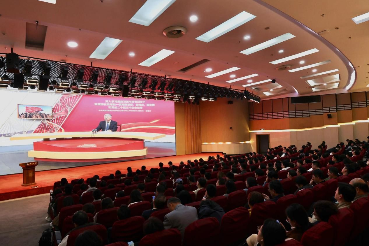 29876F19D8554E21C731ACDE186_13F48715_23D8A