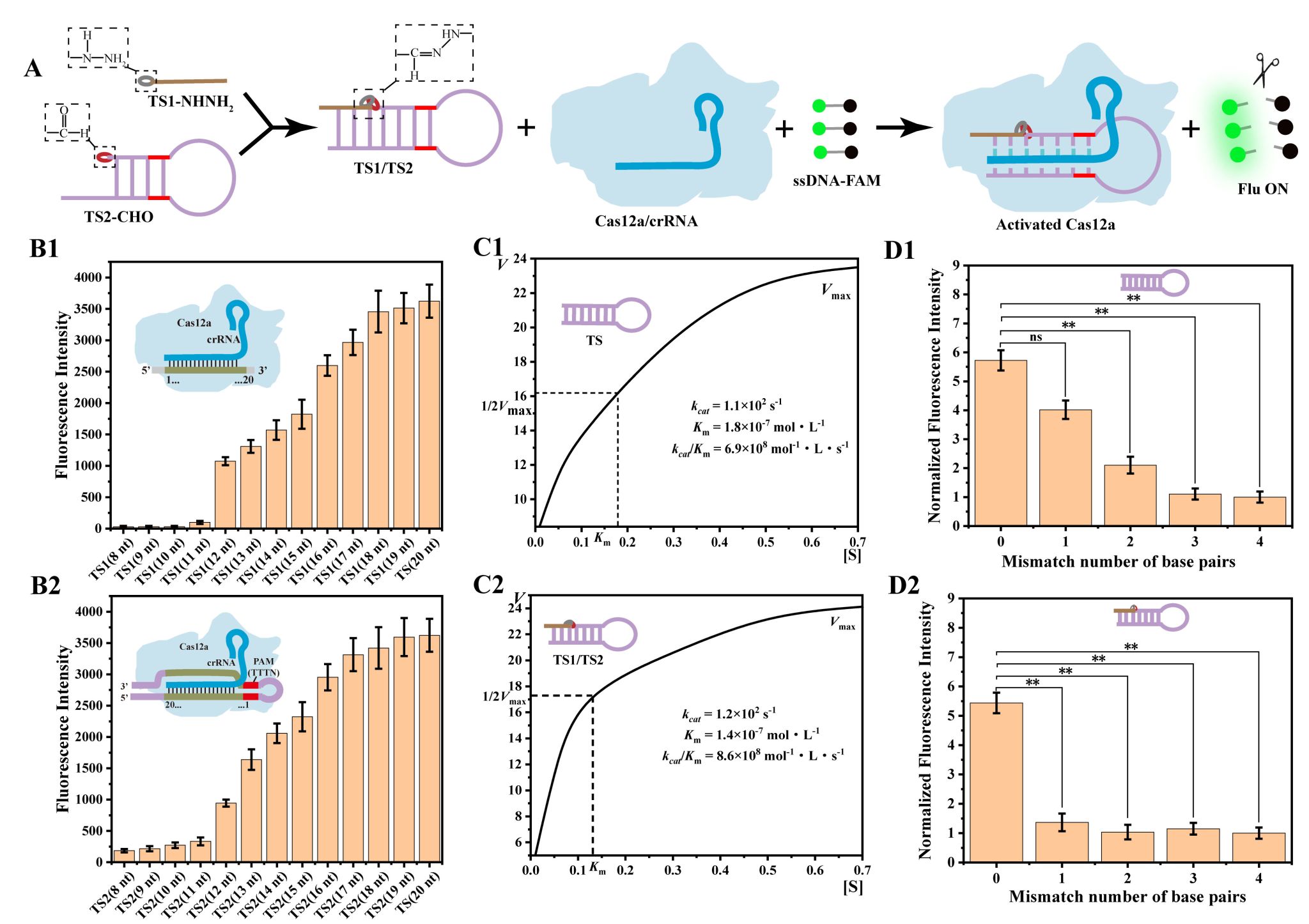 CB1525F08C8593D88AD66DC1AFF_99FEF00A_4CA49.jpg?e=