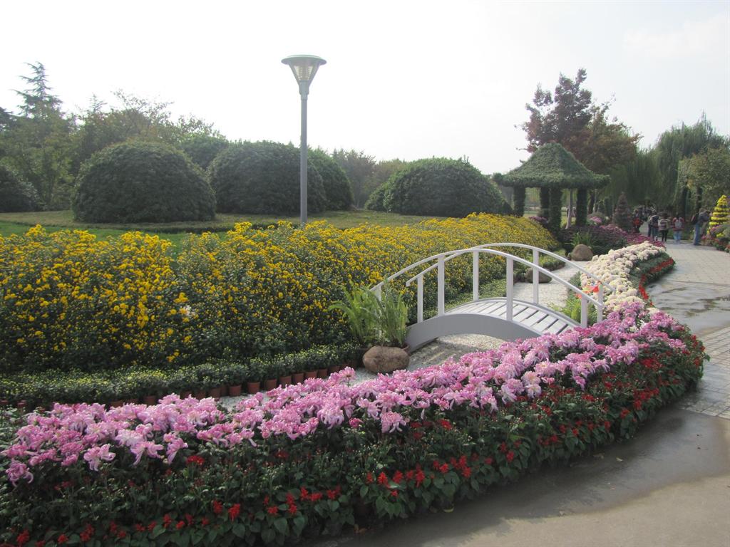 GA黄金甲·(中国集团)官方网站