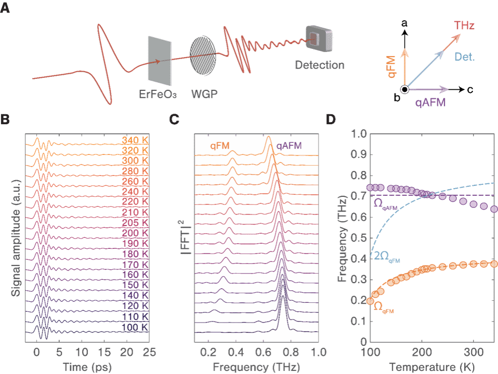 6E850F241D1D64BCDC56055C5F1_9D69EBD2_13746